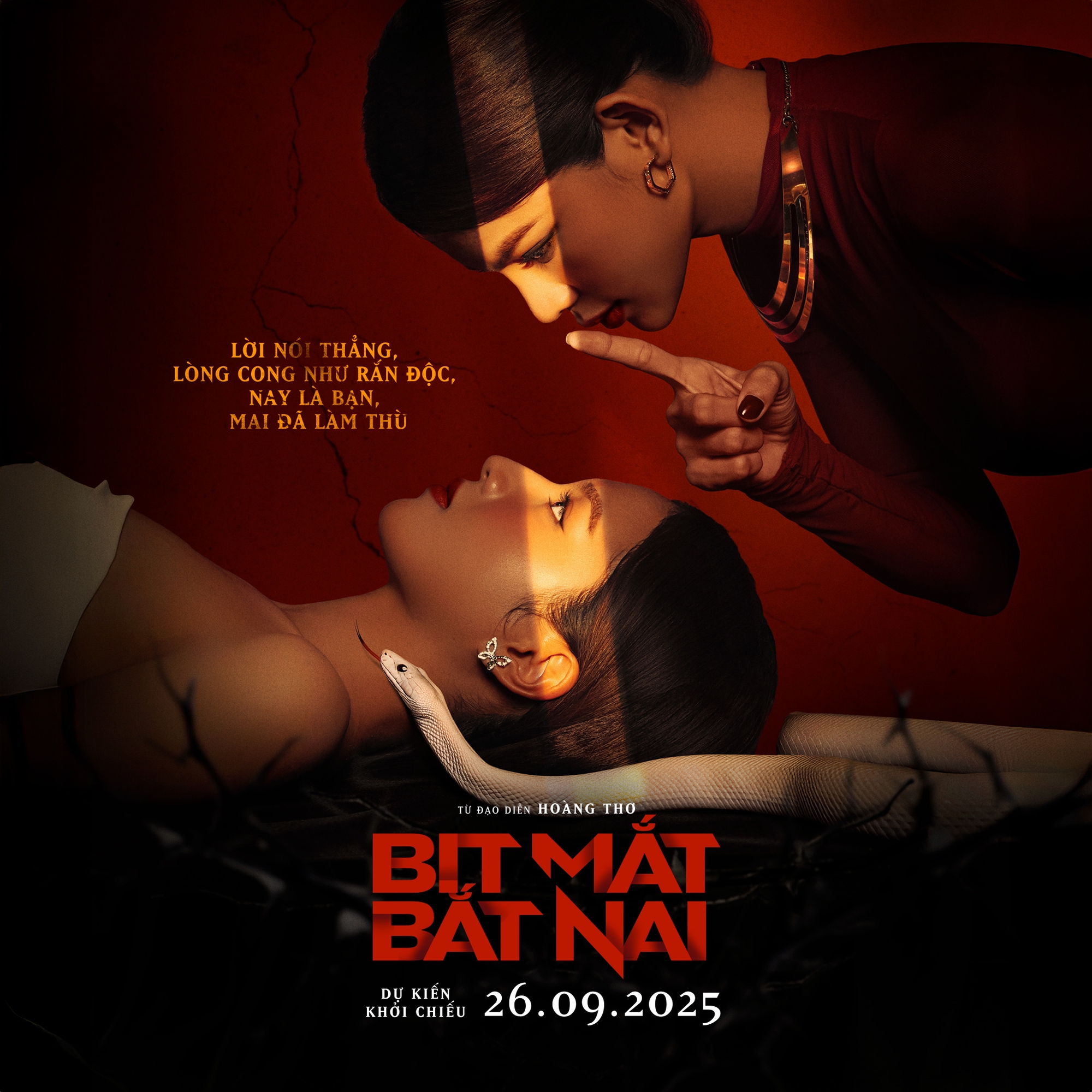 Poster điện ảnh Bịt Mặt Bắt Nai