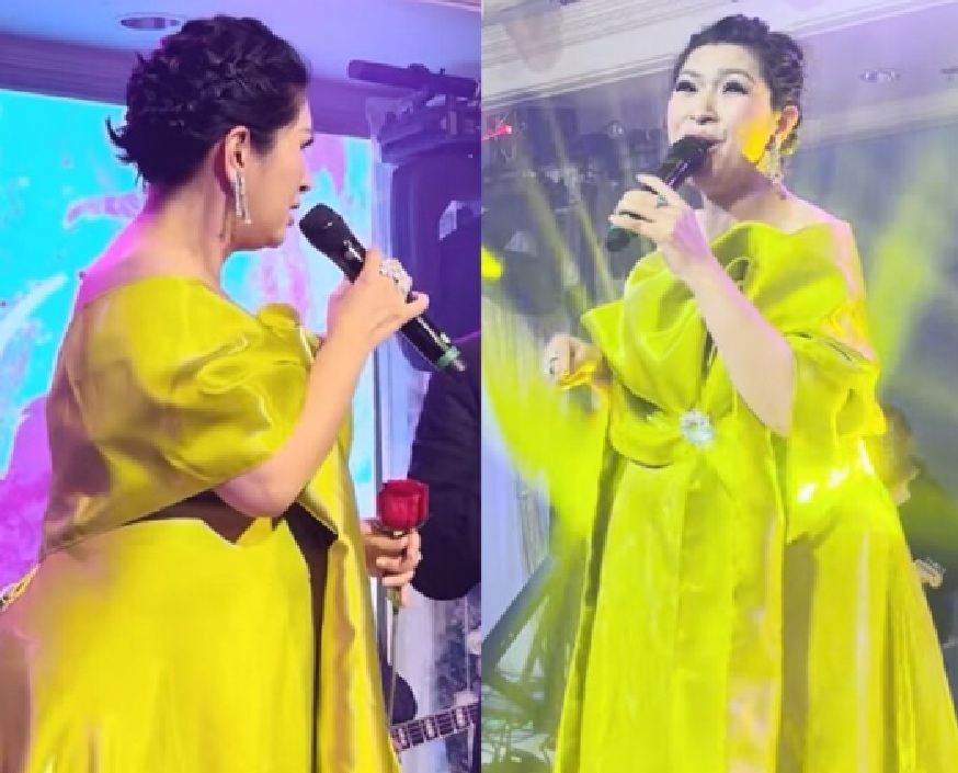 Nguyễn Hồng Nhung chia sẻ tại chương trình