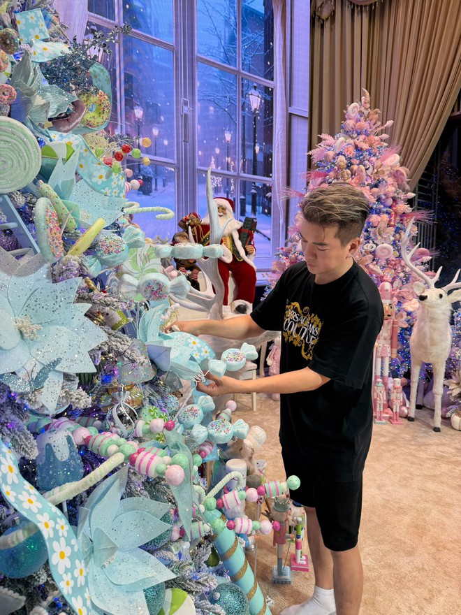 Quyết định cuối cùng của Đàm Vĩnh Hưng- Ảnh 5. Trang trí phụ kiện Noel độc đáo