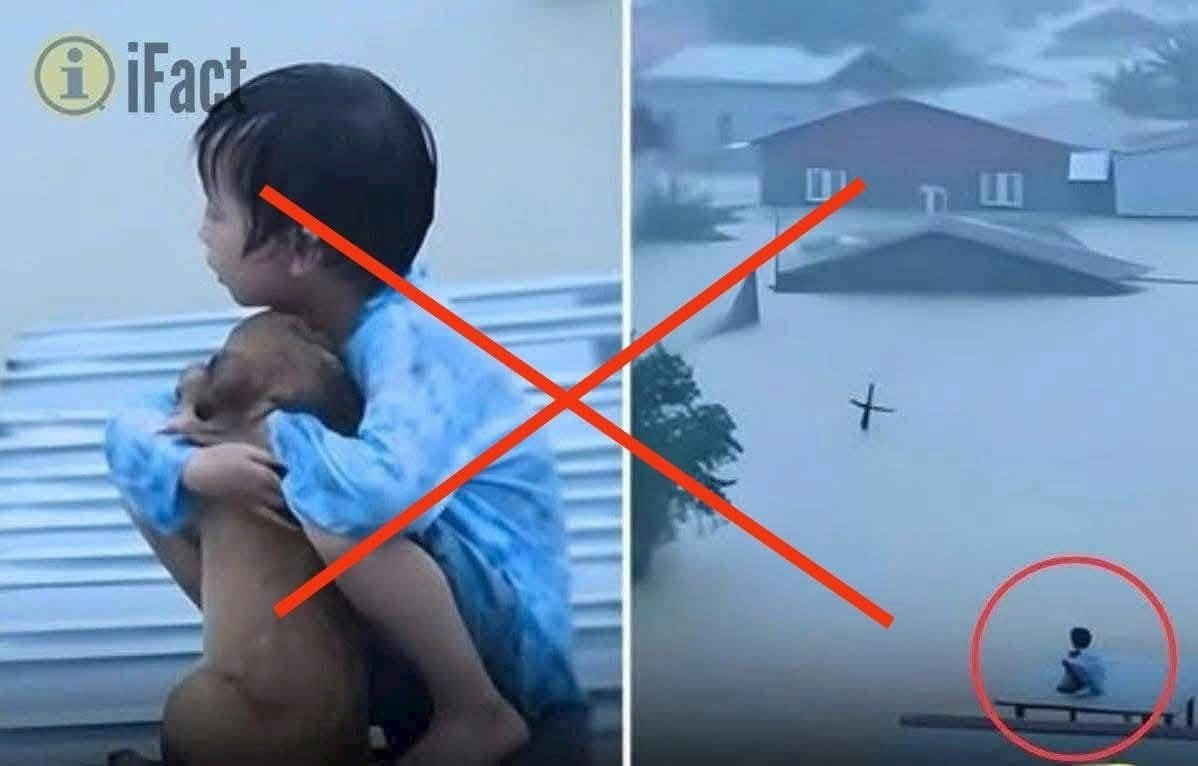 Cậu bé ôm chú chó ngồi trên mái nhà giữa biển nước