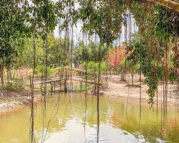 Tại đây có ao vườn, cây trái... bình yên và thoáng đãng